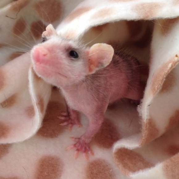 Meet your Posher, Maria - Picture 5 of 8